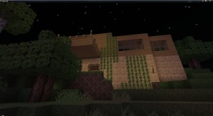 firstHome2